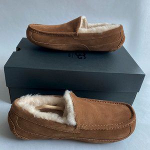 UGG M ASCOT M/CHE - Size 10 for Men Color -Chesnut